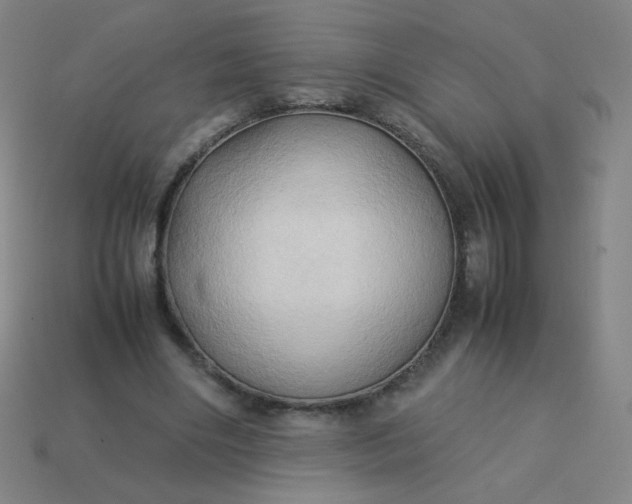 X0000114060490200910191504