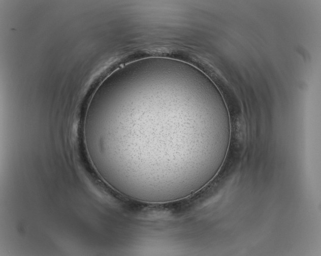 X0000114060491200910191504