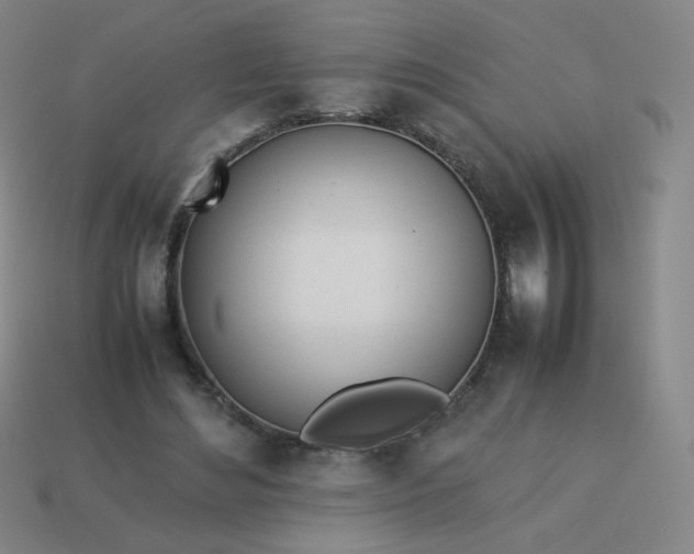 X0000114060492200910191504