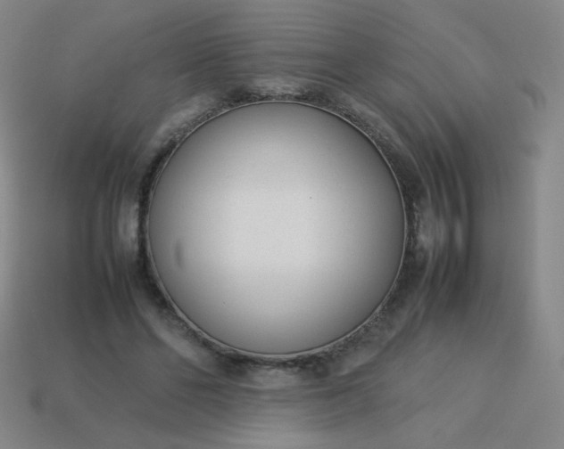 X0000114060494200910191504