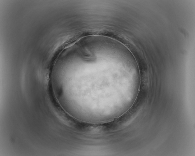 X0000114060495200910191504