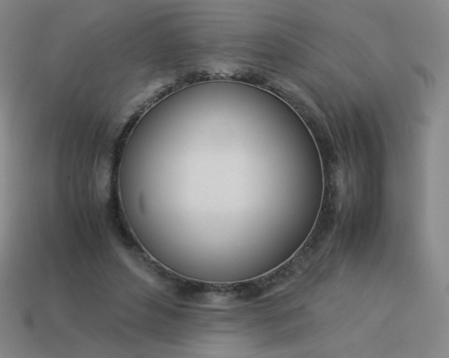 X0000114060496200910191504