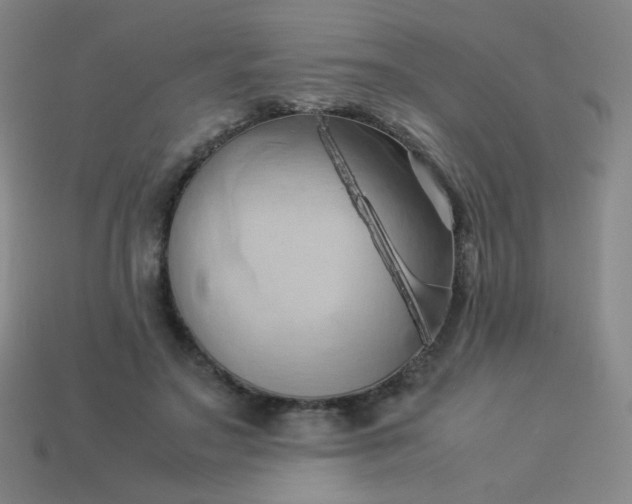 X0000114060499200910191504