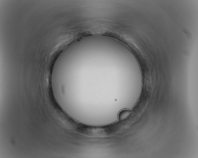 X0000114060501200910191504