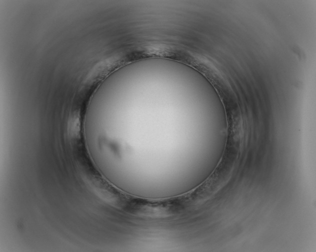 X0000114060502200910191504