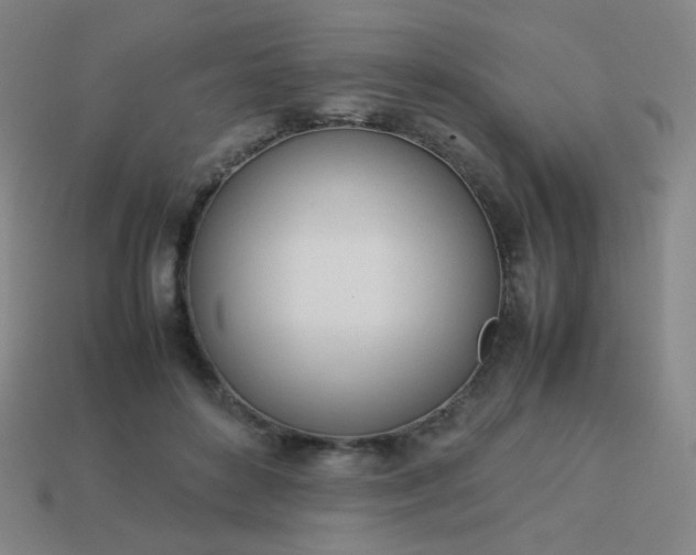 X0000114060504200910191504