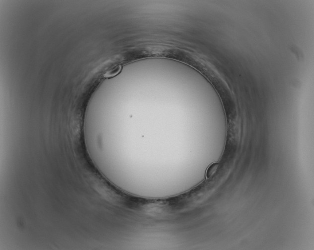 X0000114060505200910191504