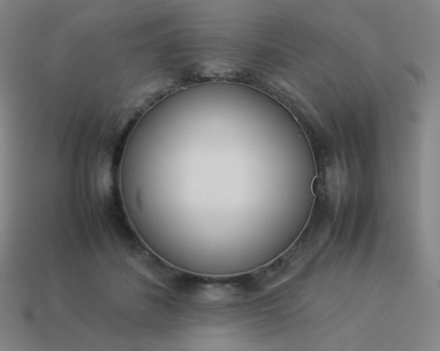 X0000114060508200910191504