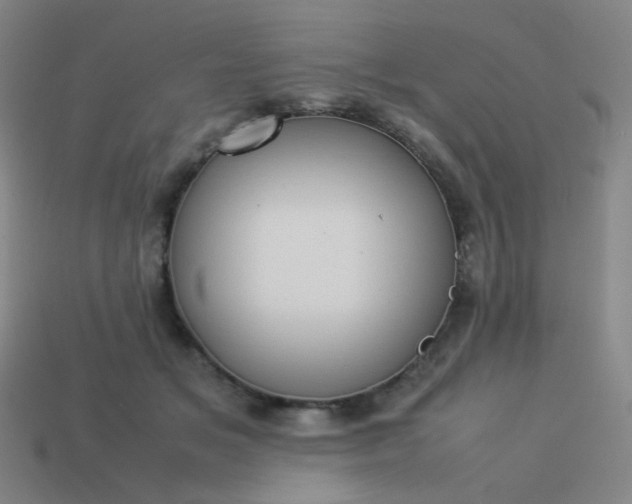 X0000114060509200910191504