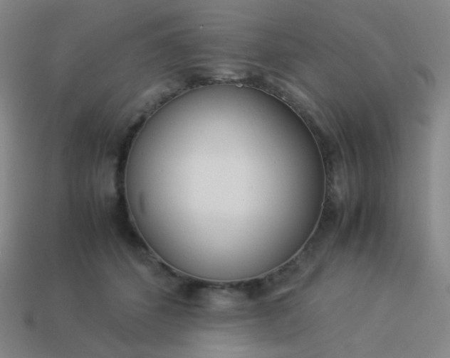 X0000114060512200910191504