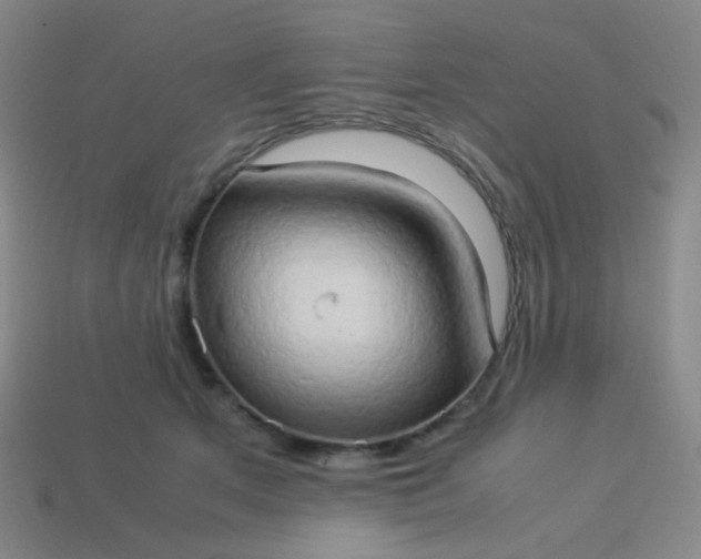 X0000114060513200910191504