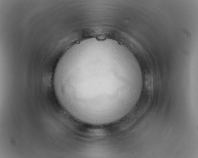 X0000114060514200910191504