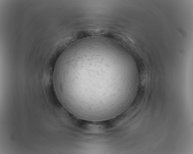 X0000114060515200910191504