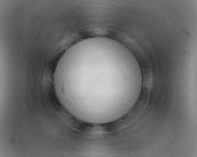 X0000114060518200910191504