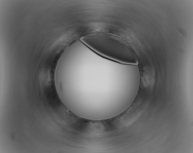 X0000114060520200910191504