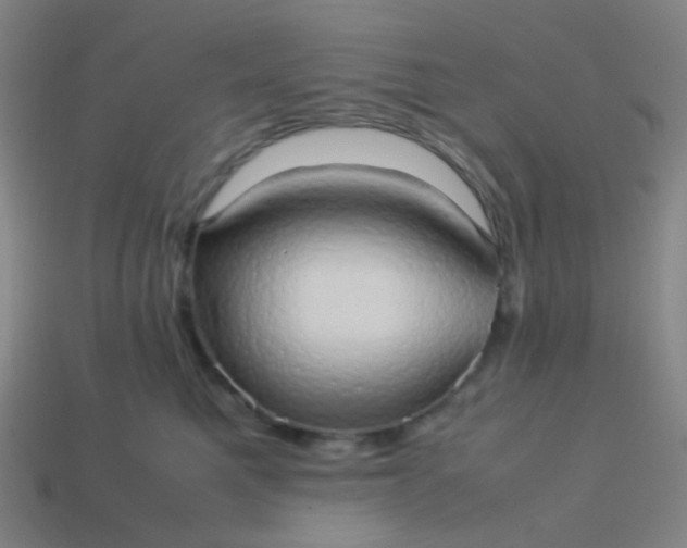 X0000114060521200910191504