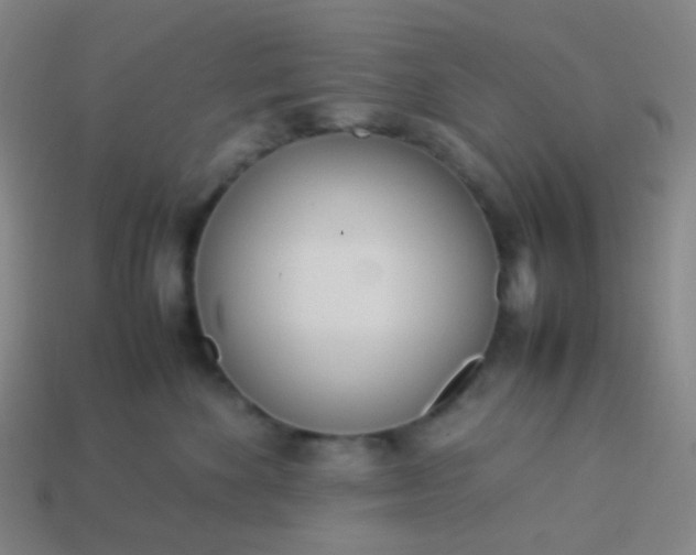 X0000114060524200910191504