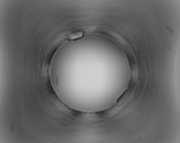 X0000114060525200910191504