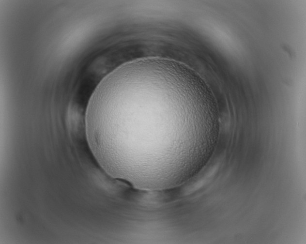 X0000114060527200910191504