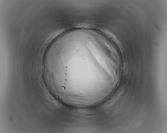 X0000114060529200910191503