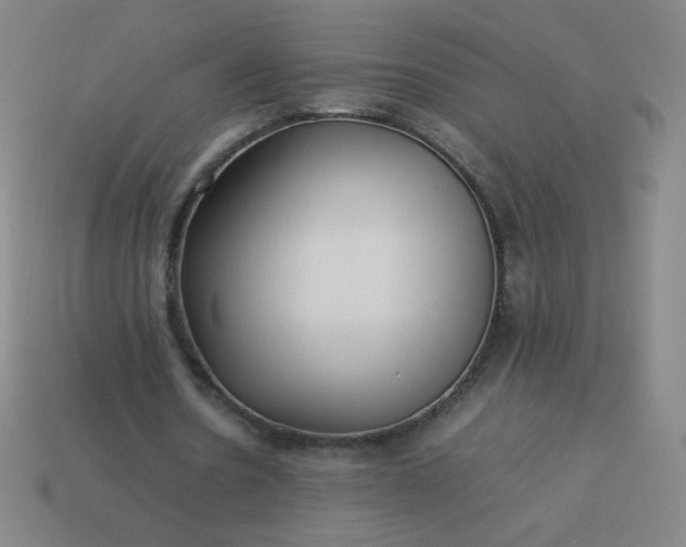 X0000114060530200910191503