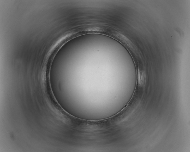 X0000114060531200910191503