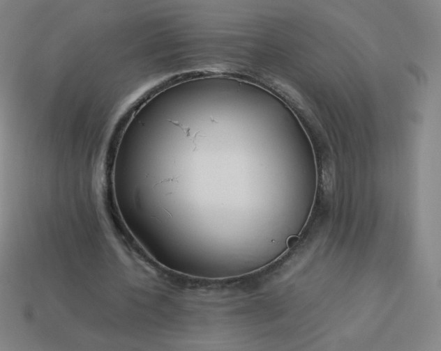 X0000114060532200910191503