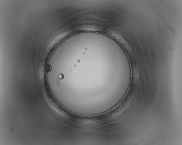 X0000114060533200910191503