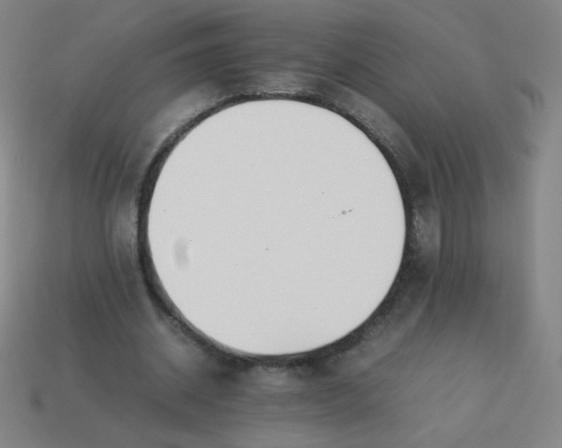 X0000114060534200910191503