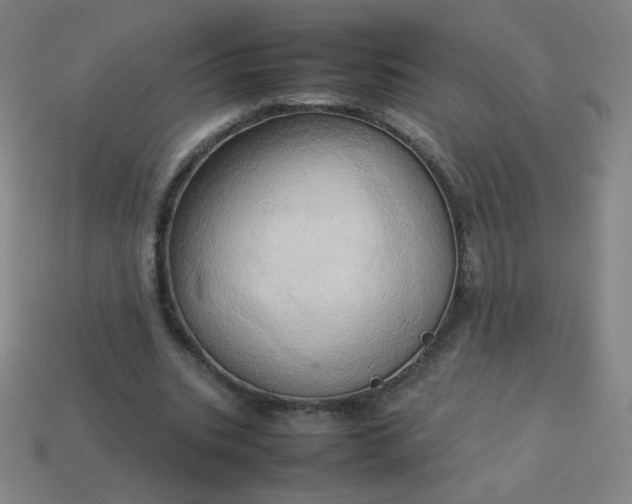 X0000114060535200910191503