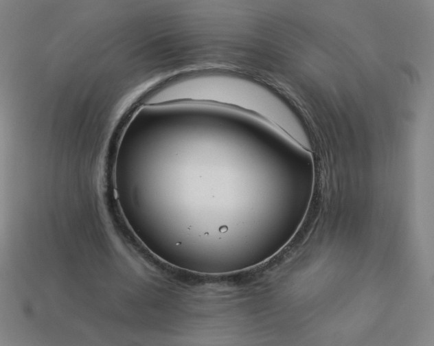 X0000114060536200910191503