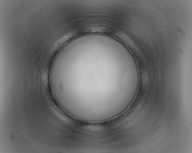 X0000114060537200910191503