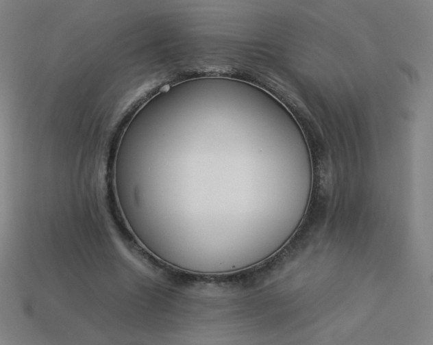 X0000114060538200910191503