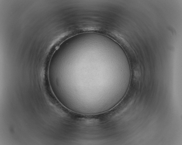 X0000114060539200910191503