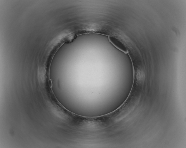 X0000114060540200910191503