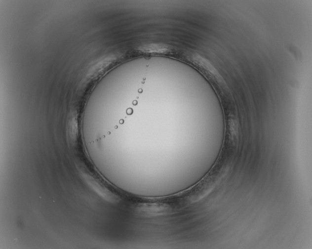 X0000114060541200910191503