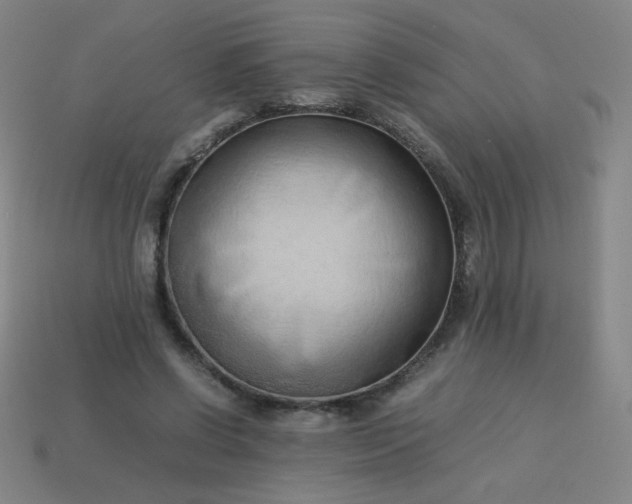 X0000114060542200910191503