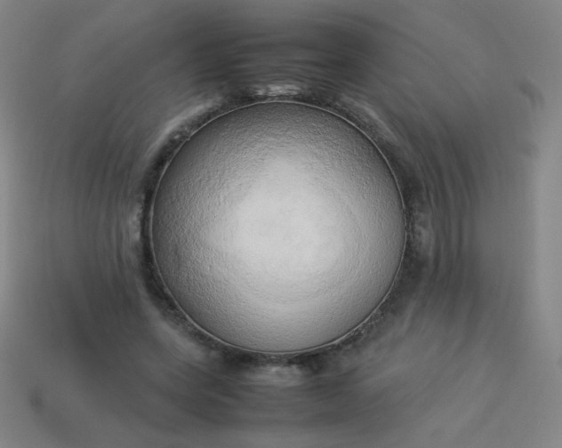 X0000114060543200910191503