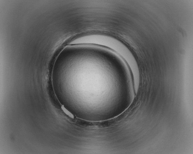 X0000114060544200910191503