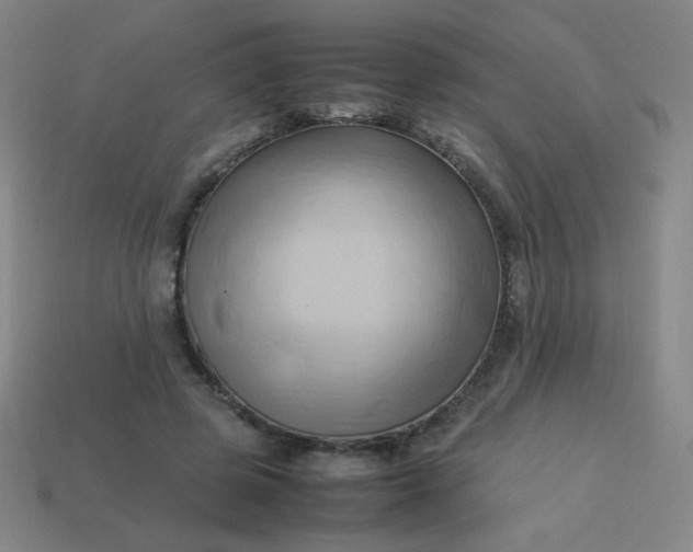 X0000114060545200910191503