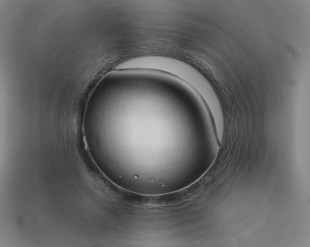 X0000114060546200910191503