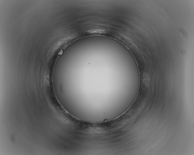 X0000114060547200910191503