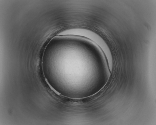 X0000114060548200910191503