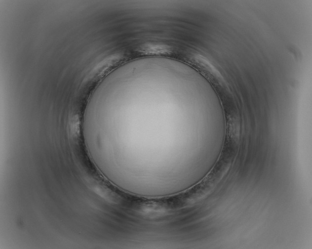 X0000114060549200910191503