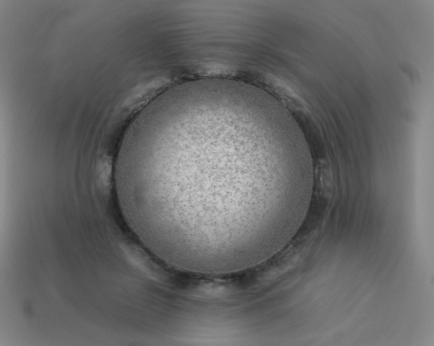 X0000114060550200910191503