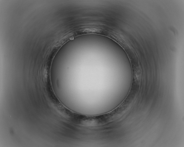 X0000114060551200910191503