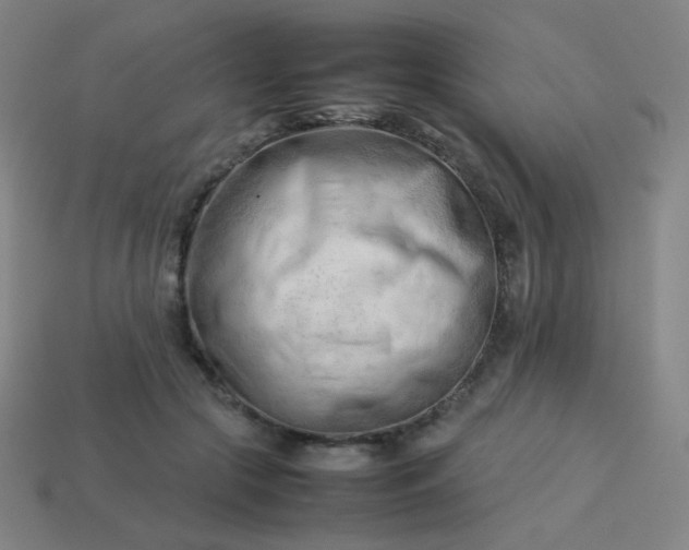 X0000114060553200910191503