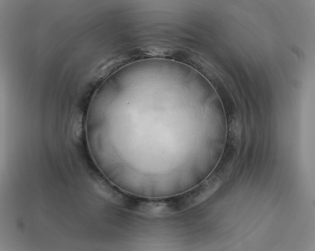 X0000114060554200910191503