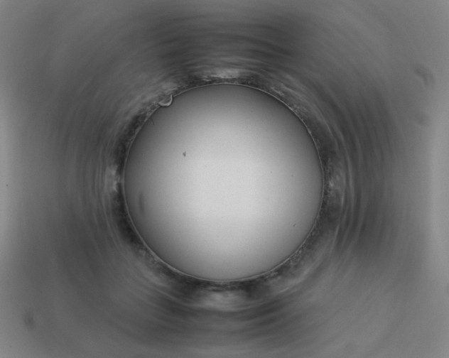 X0000114060555200910191503