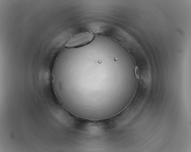 X0000114060556200910191503